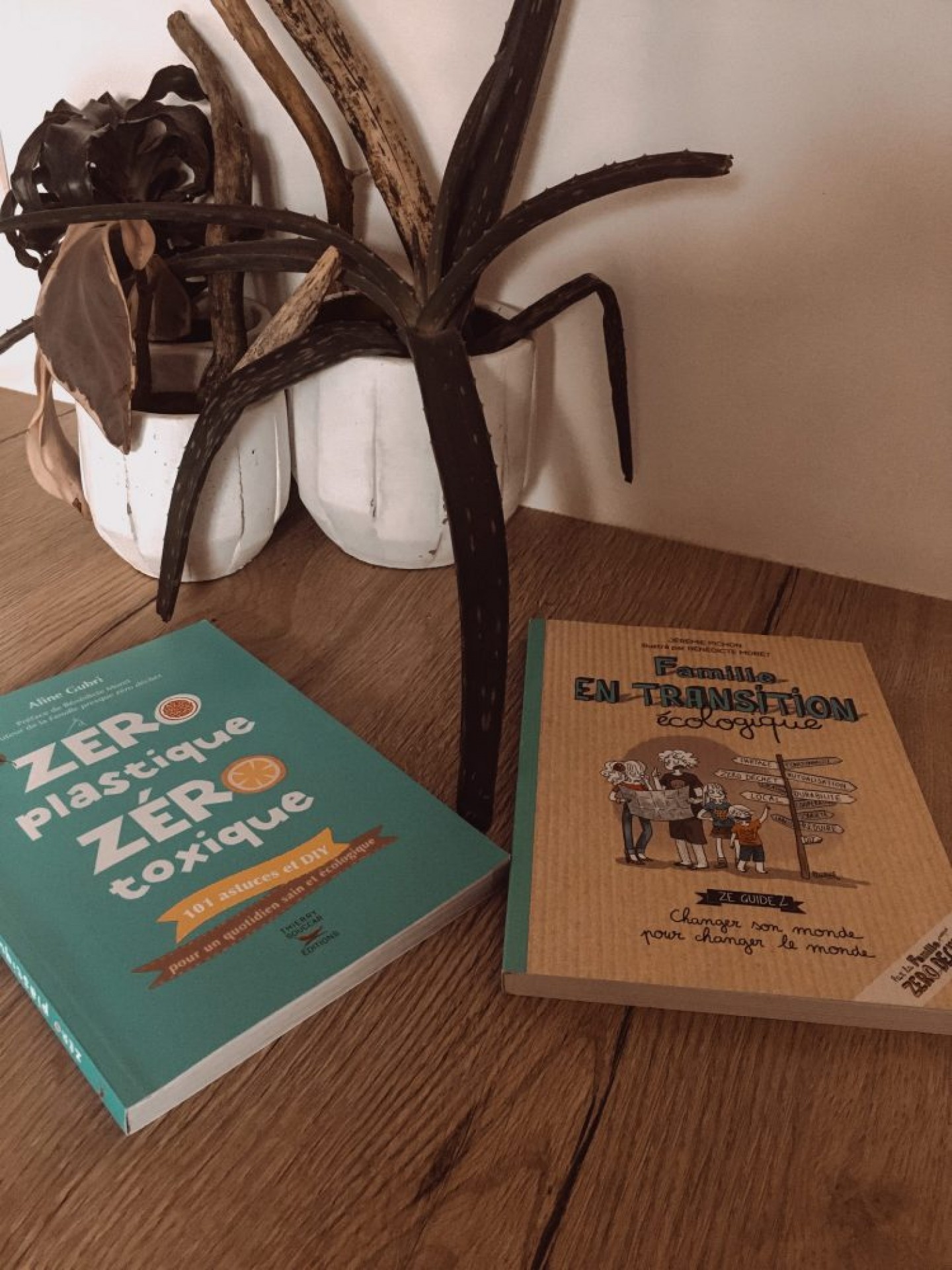 livres thierry souccar