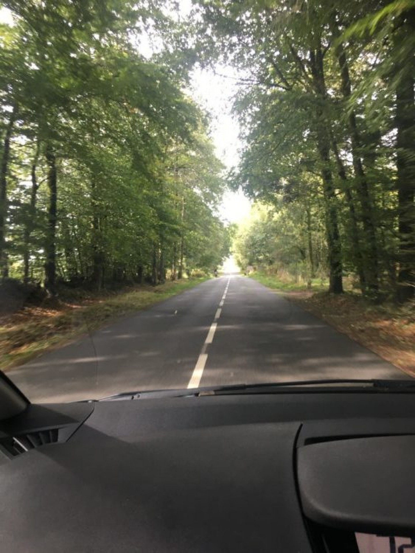 forêt