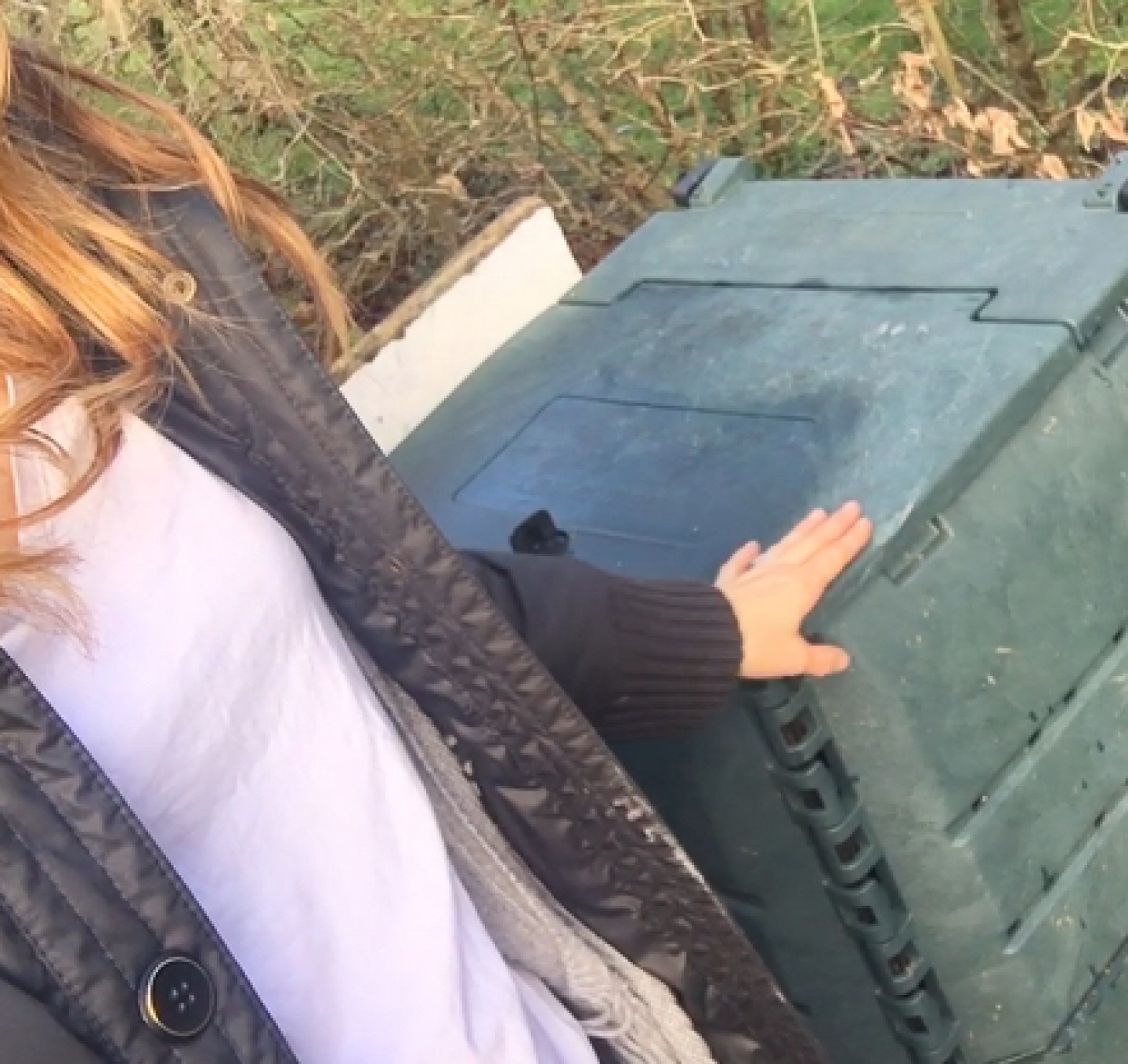 compost